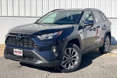 2025 Toyota RAV4 XLE Premium