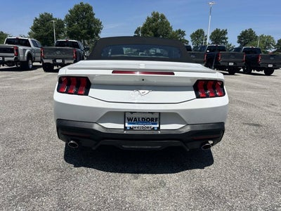 2025 Ford Mustang EcoBoost