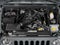 2016 Jeep Wrangler Black Bear