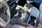2025 Toyota Tacoma i-FORCE MAX TRD Off Road Hybrid
