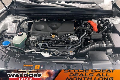 2025 Mazda Mazda CX-50 Hybrid Premium Package