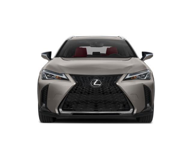 2019 Lexus UX 200 F SPORT